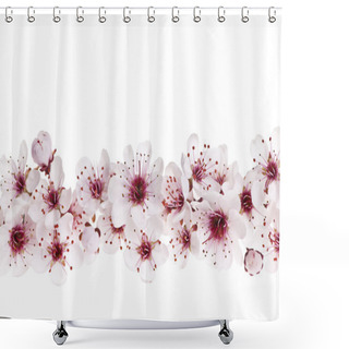 Personality  Cherry Blossoms Border Shower Curtains