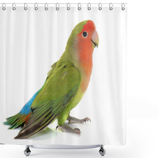 Personality  Peach Faced Lovebird Shower Curtains