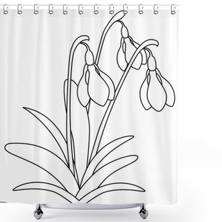 Personality  Snowdrop Flower Shower Curtains