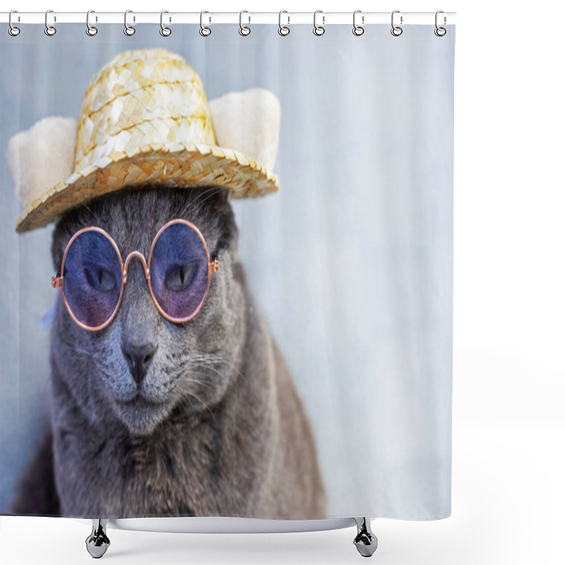 Personality  Unhappy Gray Burmese Cat Sits Wearing Glasses And A Straw Hat On A Gray Background. Attitude Towards Failure Shower Curtains