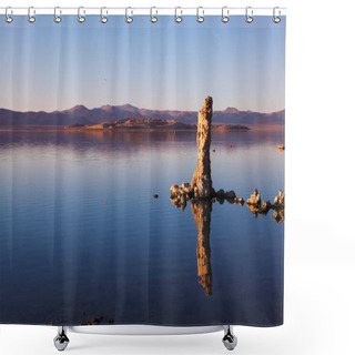 Personality  The Beautiful Fantastic Reef Shower Curtains