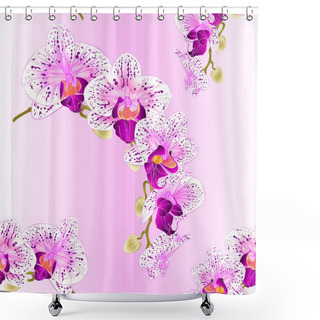 Personality  Seamless Texture Beautiful Orchid Phalaenopsis  Purple And White Stem With Flowers And  Buds   Vintage  Vector Closeup Editable Illustration  Shower Curtains