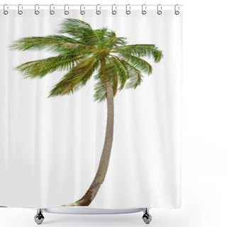Personality  Coconut Palm Tree Isolated On White Background. XXL Size. Shower Curtains