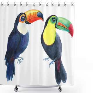 Personality  Toucans Tropical Exotic Birds Drawing Isolated On White Background. Watercolor Hand Painted Illustration Shower Curtains