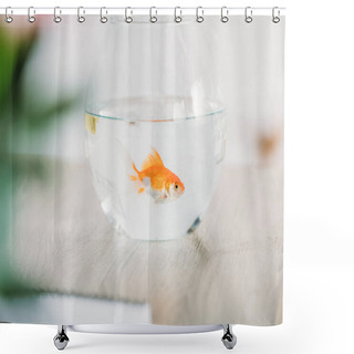 Personality  Selective Focus Of Bright Gold Fish In Aquarium On Grey Wooden Surface Shower Curtains