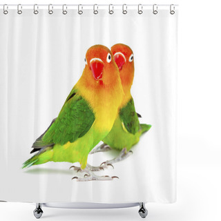 Personality  Pair Of Lovebirds Agapornis-fischeri Shower Curtains