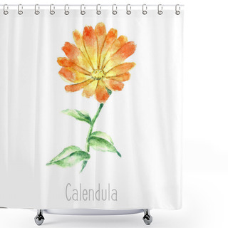 Personality  Watercolor Calendula Herbs. Shower Curtains