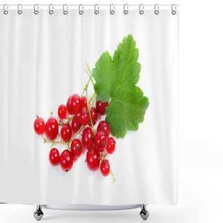 Personality  Red Currant Berry Isolated On White. A Bunch Of Red Currant Shower Curtains