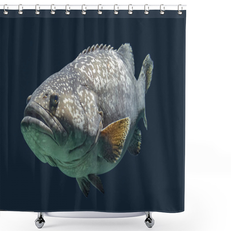 Personality  Giant Grouper Shower Curtains