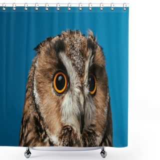 Personality  Cute Wild Owl Muzzle Isolated On Blue Shower Curtains
