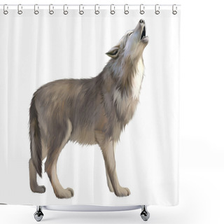 Personality  Adult Wolf Howl At The Moon Shower Curtains