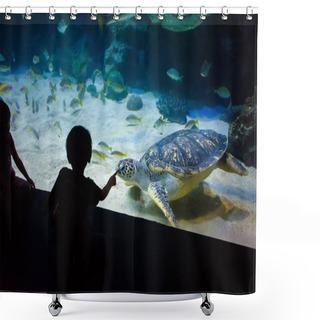 Personality  People Watch For The Sea Life In The Oceanarium Of Kuala Lumpur Shower Curtains