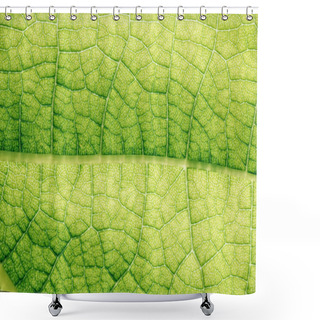 Personality  Macro Texture Of Green Floral Leaf  Shower Curtains