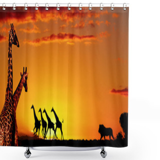 Personality  African Nature Concept Shower Curtains