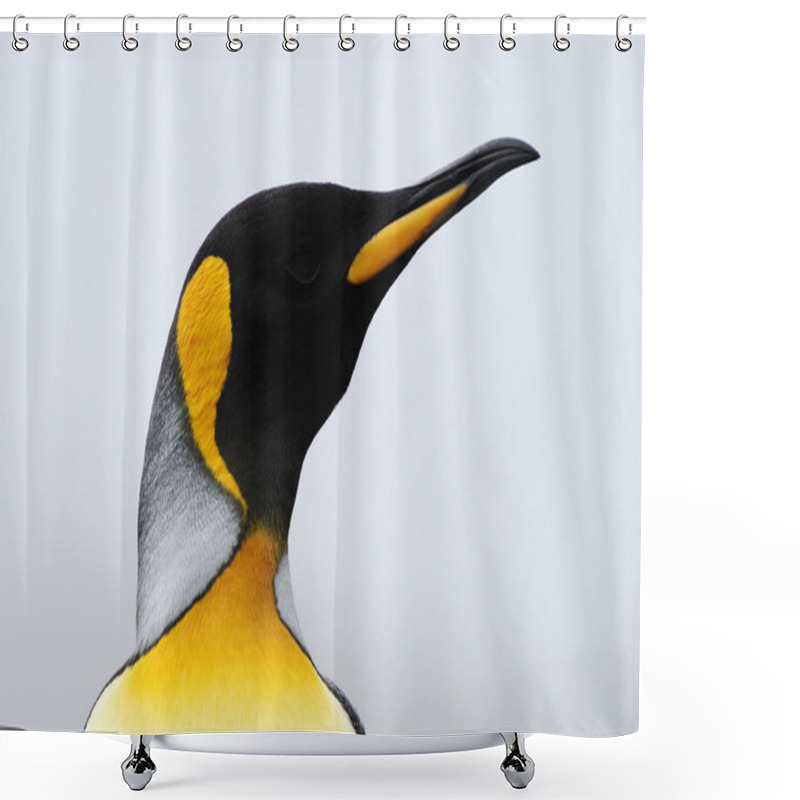 Personality  King Penguin (Aptenodytes Patagonicus) Shower Curtains
