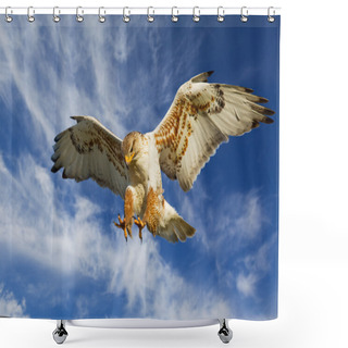 Personality  Ferruginous Attack Shower Curtains