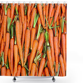 Personality  Fresh Carrots Shower Curtains