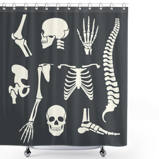 Personality  Human Skeleton. Vector White Illustration Set Shower Curtains