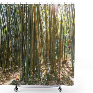 Personality  Bamboo Plants Shower Curtains