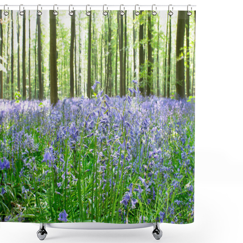 Personality  Field Of Blooming Wildflowers In Sun Lighted Forest Shower Curtains