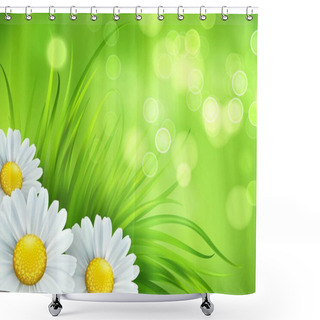 Personality  Frash Spring Green Grass And Chamomile Background. Vector Illustration Shower Curtains