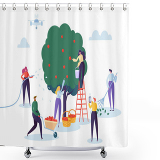 Personality  Farmer Pick Apple Harvest To Basket. Woman Character Harvesting Ripe Fruit From Green Organic Tree. Man Control Farm With Drone. Country Garden Landscape Flat Cartoon Vector Illustration Shower Curtains