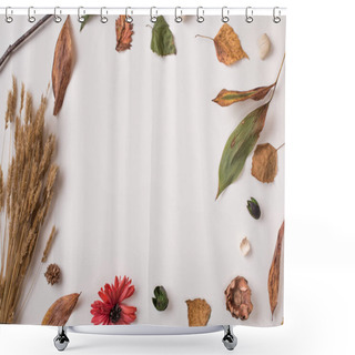 Personality  Autumn Frame: Fallen Leaves, Dry Petals, Dried Flowers And Plants, Wheat Bunch On White With  Empty Circle Space For Text In Center. Top View. Flat Lay. Shower Curtains