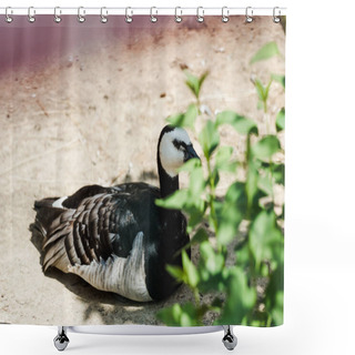Personality  Selective Focus Of Wild Bird Sitting Near Green Plant With Leaves  Shower Curtains