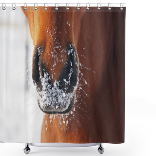 Personality       Nostrils Of Bay Horse In Winter Shower Curtains