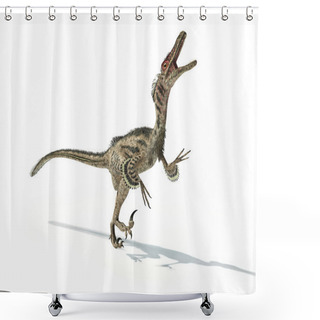 Personality  Velociraptor Dinosaur, Scientifically Correct, With Feathers. Shower Curtains