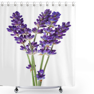 Personality  Lavender Shower Curtains