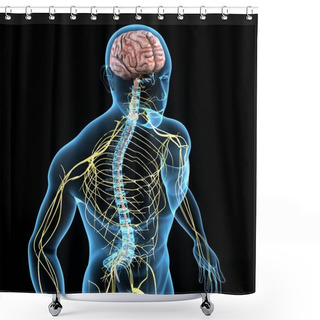 Personality  Nervous System Shower Curtains