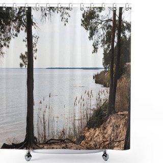 Personality  Green Trees Near Reeds And Tranquil Lake  Shower Curtains