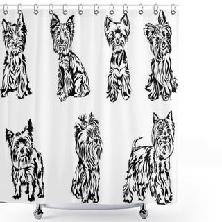 Personality  Yorkshire Terrier, Portrait, Graphics Shower Curtains