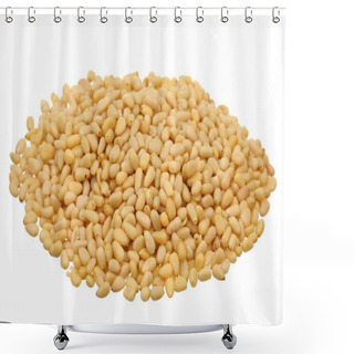 Personality  Pine Nuts Shower Curtains