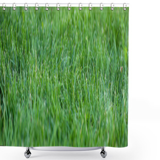 Personality  Panoramic Shot Of Green Grass On Meadow  Shower Curtains