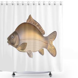 Personality  Carp Fish (Cyprinus Carpio) Detailed Vector Illustration Shower Curtains