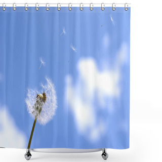 Personality  Blown Dandelion Shower Curtains