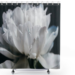 Personality  Close Up View Of Blue And White Peony With Drops Isolated On Black Shower Curtains