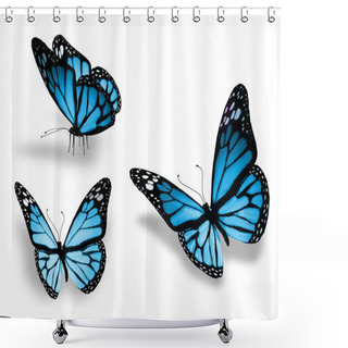 Personality  Three Blue Butterfly, Isolated On White Background Shower Curtains