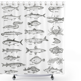 Personality  Fish And Seafood Hand Drawn Graphic Illustration Shower Curtains