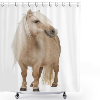 Personality  Palomino Shetland Pony, Equus Caballus, 3 Years Old, Standing In Front Of White Background Shower Curtains