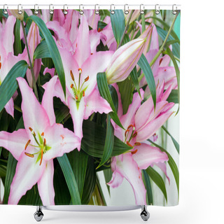 Personality  Amaryllis Belladonnas Pink Flowers. Shower Curtains