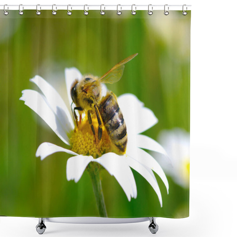 Personality  Bee On Flower Shower Curtains