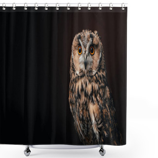 Personality  Cute Wild Owl Isolated On Black Shower Curtains