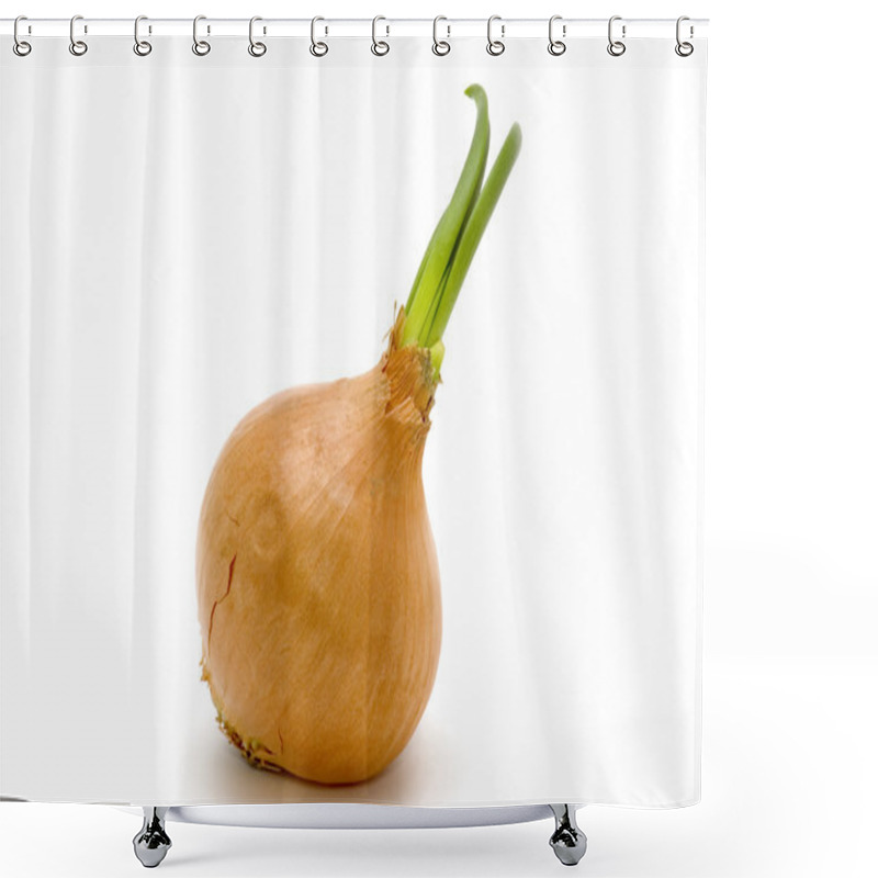 Personality  Onion On White Shower Curtains