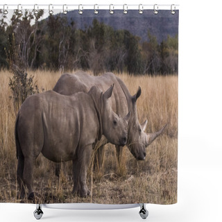 Personality  African Rhino Shower Curtains