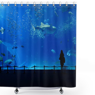 Personality  Aquarium Tank Shower Curtains