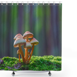 Personality  Mushrooms Growing In The Forest, Hypholoma Fasciculare Shower Curtains