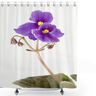 Personality  Violet Shower Curtains